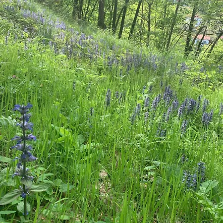 Holiday home Casa Kairos Ponzone