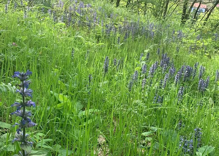 بيت للعطل Casa Kairos Ponzone